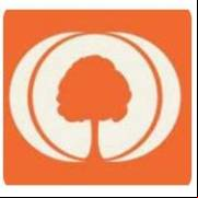 Descargar Myheritage  Apk V6.4.1